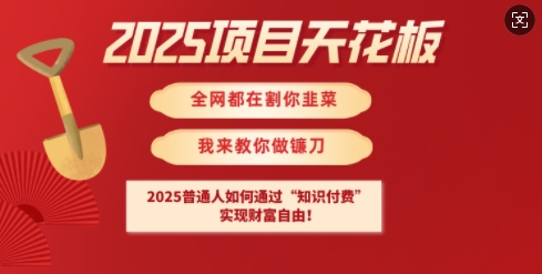 2025项目天花板普通人如何通过知识付费,实现财F自由【揭秘】-无忧资源网